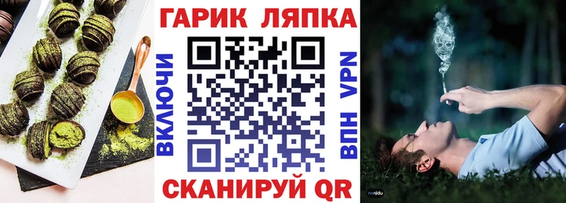 Canna-Cookies марихуана  Шарья 