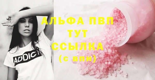 крисы Абаза