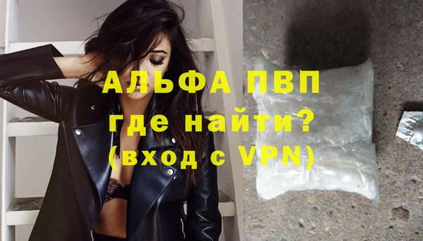 крисы Абаза