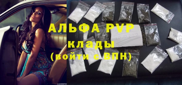 крисы Абаза