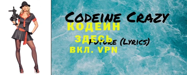 крисы Абаза