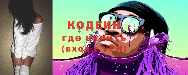 крисы Абаза